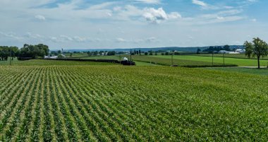 Geniş yeşil mısır tarlaları, açık mavi gökyüzü ve dağınık bulutlar ile araziyi kaplar. Uzak tepeler ve çiftlikler sıcak yaz aylarında sakin bir kırsal atmosfer yaratıyor..