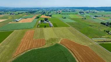 Bu geniş kırsal alan, ekin büyümesinin çeşitli aşamalarındaki tarlaların bir kısmını ortaya koymaktadır. Bölgeyi saran yuvarlanan tepeler, açık bir gökyüzünün altında ufuk çizgisi olan çiftlik binaları..