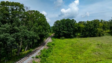 Terk edilmiş demiryolu rayları, parlak mavi bir gökyüzünün altında kabarık bulutlarla çevrili, canlı yeşil bir manzara boyunca uzanıyor. Doğa bu barışçıl ortamda eski rotayı geri alır..
