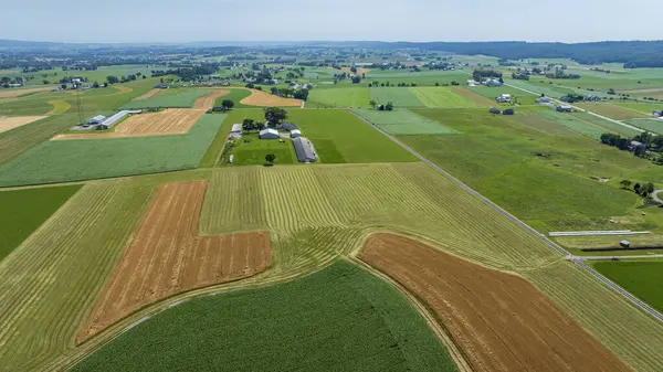 Bu geniş kırsal alan, ekin büyümesinin çeşitli aşamalarındaki tarlaların bir kısmını ortaya koymaktadır. Bölgeyi saran yuvarlanan tepeler, açık bir gökyüzünün altında ufuk çizgisi olan çiftlik binaları..