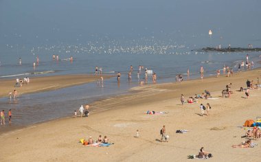 Scheveningen, Hollanda - 1 Ekim 2011: Scheveningen, Hollanda sahilindeki insanlar ve martılar