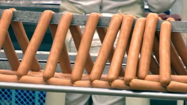 Butcher Making Fresh Sausages ; Sausage factory making process meat industry equipment.