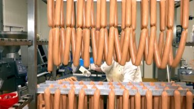 Sausage Manufacturing Processed ; Sausage factory making process meat industry equipment.