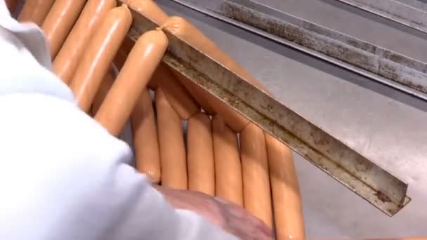 Production Sausages Meat Industry Sausage Factory Making Process Meat Industry — Vídeo de Stock