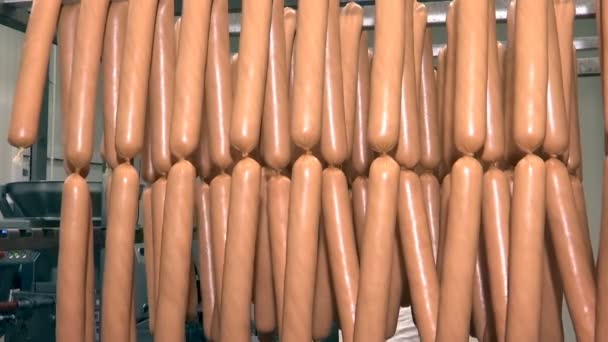 Manufacture Sausages Meat Industry Sausage Factory Making Process Meat Industry — Vídeo de Stock