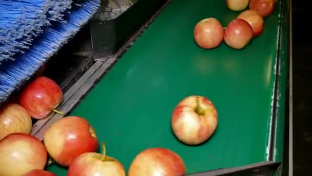 Яблука Ринку — стокове відео