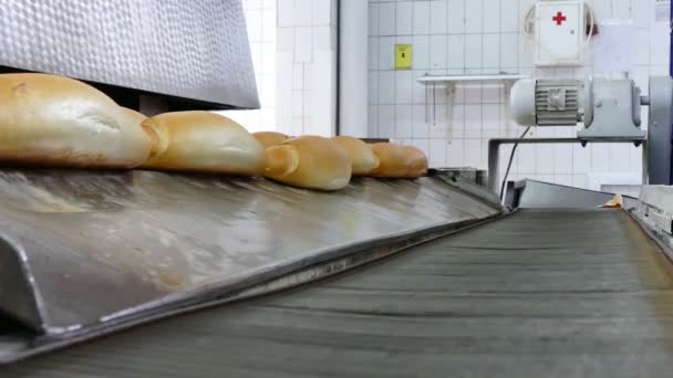 Гарячі Хліби Свіжого Хліба Свіжоспечений Хліб Виходить Печі Хлібопекарській Промисловості — стокове відео