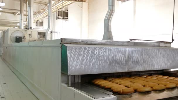 Промышленная Хлебопекарня Большая Печь Свежеиспеченный Хлеб Выходит Печи Хлебопекарной Промышленности — стоковое видео