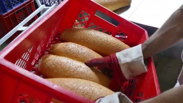 准备上街吃的新鲜面包 面包店的工作人员把新鲜面包放进板条箱运送到商店 — 图库视频影像