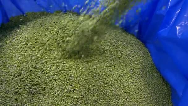 얼어붙은 완두콩 Frozen Peas 완두콩의 농산물의 — 비디오