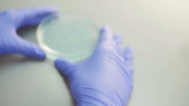 Tıbbi Araştırma Numunesi; Laboratuvar teknisyeni laboratuarda örnek araştırması yapar