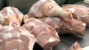 Çiğ domuz işleme hattı işçileri; et endüstrisinde çiğ et işleme işçileri