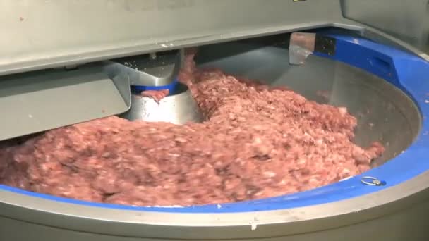 ソーセージの生産のための混合物 機械は肉工業のソーセージのための混合物をします — ストック動画