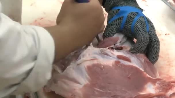 Açougueiro Corta Uma Carne Crua Porco Máquina Faz Uma Mistura — Vídeo de Stock