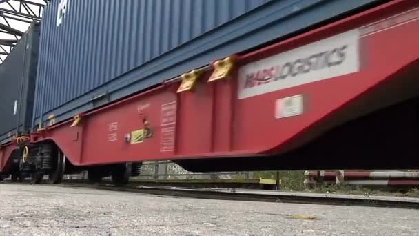 ツレンジャニン ヴォイヴォディナ セルビア 2023 貨物ワゴンとの列車の構成 — ストック動画