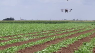 Modern Tarım Döllenme Uygulaması; İHA kullanarak yabani otlara karşı mahsul serpiştirme