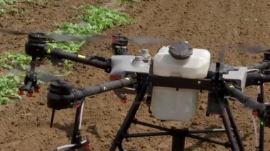 Tarımsal İHA 'nın kalkışı, insansız hava aracı kullanarak yabani otlara karşı mahsul serpiştirme.