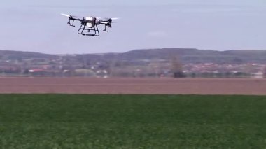 Tarım sektöründe dron kullanımı; İHA kullanarak yabani otlara karşı mahsul serpiştirme