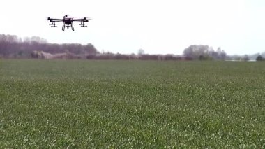 Modern Ekin Tozlaşması; İHA kullanarak yabani otlara karşı mahsul serpiştirme