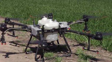 Ekin ilaçlama için Büyük İnsansız Hava Aracı, dron kullanarak yabani otlara karşı mahsul serpiştirme
