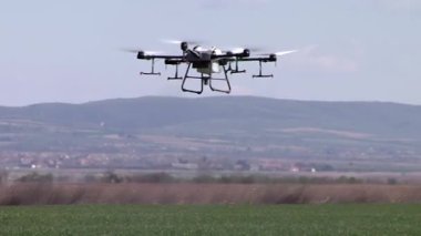 İnsansız hava aracı buğday tarlasında uçuyor, dron kullanarak yabani otlara karşı mahsul saçıyor.
