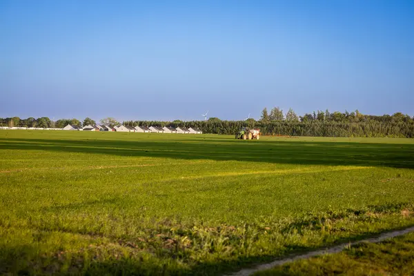 Yeşil alanlar ve mavi gökyüzü bulutlu.