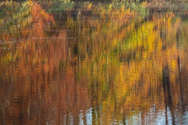 Beautiful Fall Colors Hardwood Trees Reflect Peaceful North Georgia Lake — Stock fotografie