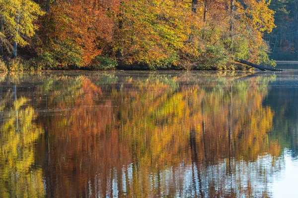 Beautiful fall colors on hardwood trees reflect onto a peaceful north Georgia lake.