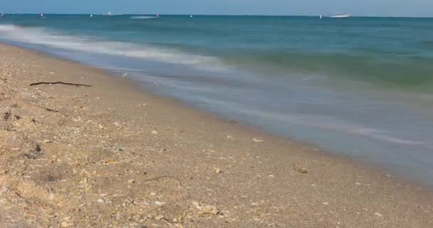 Сроки Движения Размыли Людей Волны Двигающиеся Пляжу Форт Лодердейла — стоковое видео