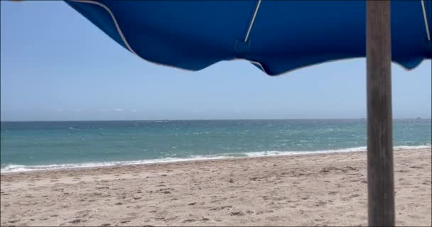 플로리다 휴양지에서 모래사장 바다를 배경으로 우산을 휘날리고 — 비디오