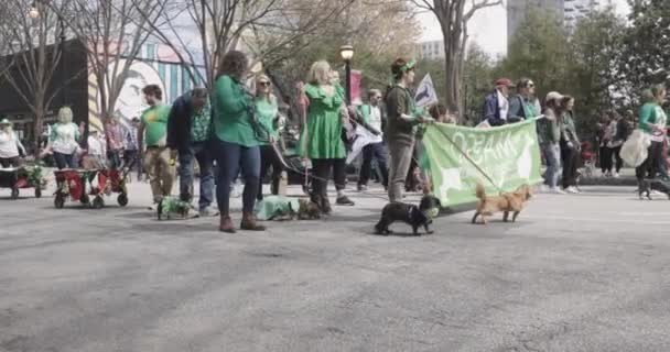 2023年3月11日 アトランタ 毎年恒例のセント パトリックス パレード 2023年3月11日 で何十頭もの救助犬のペットの飼い主が犬の散歩をしている — ストック動画
