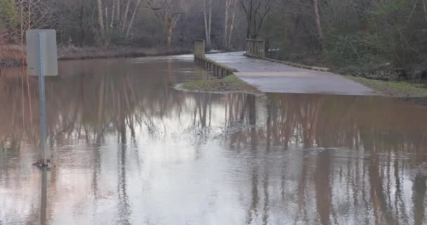 閉鎖ショットは ジョージア州のレクリエーション緑地で看板や歩道を追い越した小川からの洪水の水を示しています — ストック動画