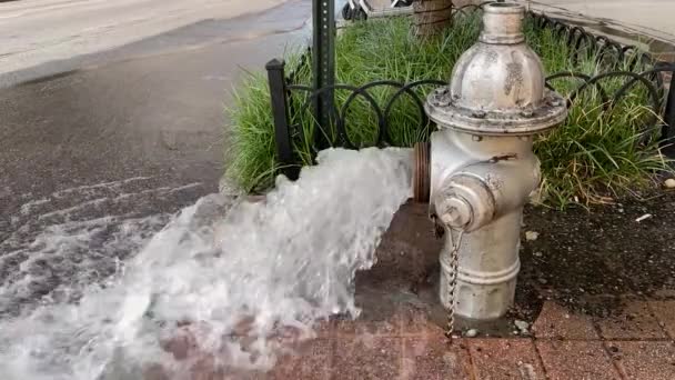 Медленное Движение Воды Открытого Пожарного Гидранта Городскую Улицу — стоковое видео