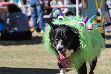 Atlanta Cadılar Bayramı 'nda köpek boynuzlu komik bir kostüm giyer.