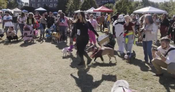 Atlanta Usa Ekim 2023 Köpek Sahipleri Hayvanları Ekim 2023 Tarihinde — Stok video