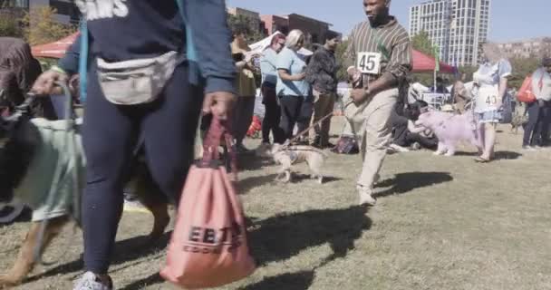2023年10月21日 在佐治亚州亚特兰大市的老第四选区公园举行的 拯救犬比赛 狗主人们身着万圣节服装参加了犬类游行 — 图库视频影像