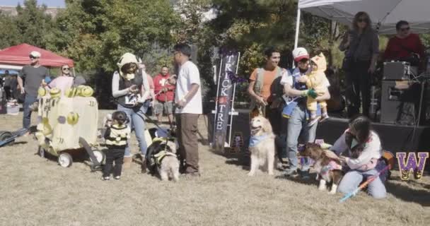 美国亚特兰大10月21日 2023年10月21日 在佐治亚州亚特兰大市的老第四选区公园 狗主人和他们的宠物参加了一场万圣节服装比赛 — 图库视频影像