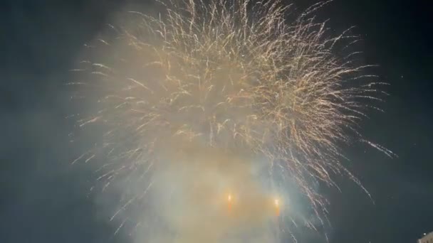 Eksplodujące Fajerwerki Oświetlają Nocne Niebo Obchodach Lipca — Wideo stockowe