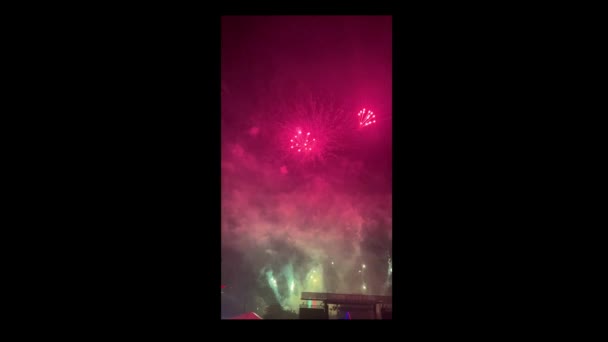 Vertical Framing Shows Slow Motion Fireworks Exploding Atlanta July Celebration — Stock Video