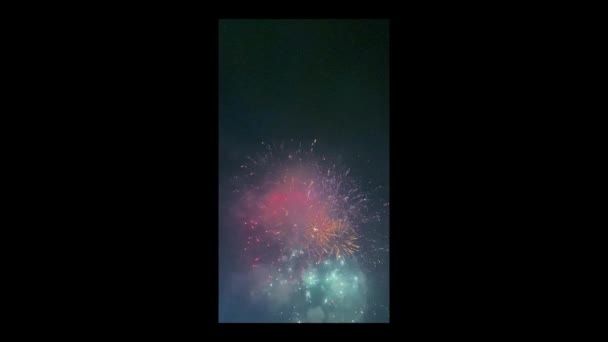 Vertikale Einfassung Zeigt Zeitlupe Von Feuerwerk Das Bei Der Feier — Stockvideo
