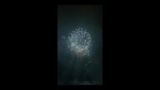 Vertikale Einfassung Zeigt Zeitlupe Von Feuerwerk Das Bei Der Feier — Stockvideo