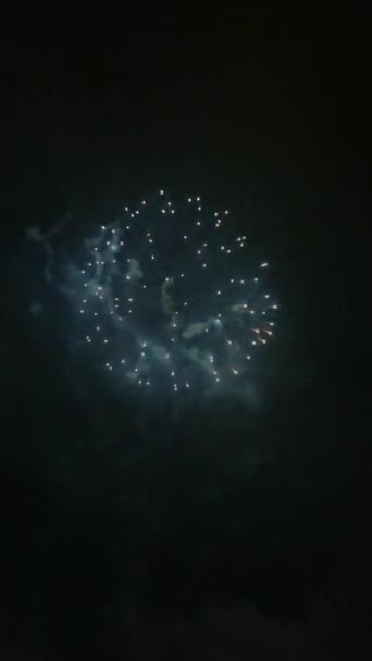 Focurile Artificii Explozive Aprind Cerul Noapte Sărbătoare Din Iulie — Videoclip de stoc