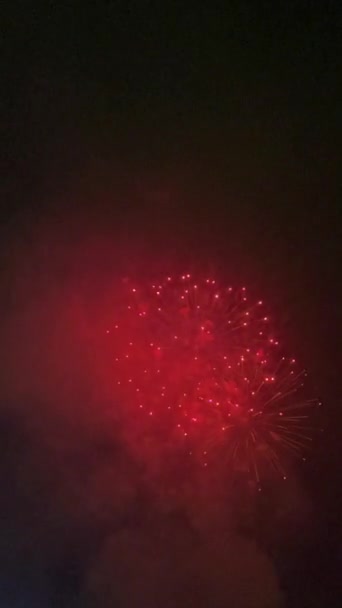 Vertical Framing Shows Slow Motion Fireworks Exploding Atlanta July Celebration — Stock Video