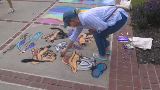 2023年8月11日 美国佐治亚州杜勒斯市 2023年8月11日 在美国杜勒斯市举行的粉笔艺术节上 一位妇女在人行道上用粉笔画着著名的卡通人物 — 图库视频影像