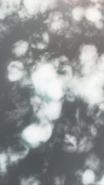 Dikey video, ilginç bir arkaplan grafik ögesi oluşturmak için rüzgarda rüzgarda yavaşça esen ağaç yapraklarının gölgelerini göstermektedir.. 