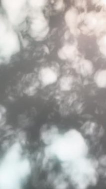 Dikey video, ilginç bir arkaplan grafik ögesi oluşturmak için rüzgarda rüzgarda yavaşça esen ağaç yapraklarının gölgelerini göstermektedir.. 