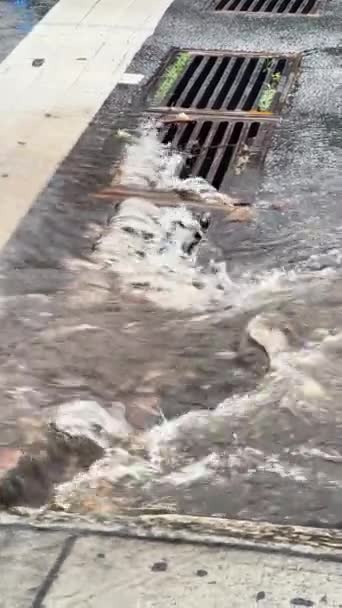 垂直录像显示从雷雨中涌进亚特兰大街道排水沟的山洪暴发 — 图库视频影像
