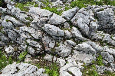 Yakın çekim Bavyera Alplerinde eski yıpranmış kaya oluşumlarını gösteriyor..