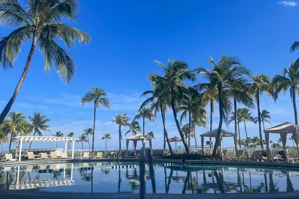 stock image Palm trees line a luxurious hotel pool, set against a cobalt blue sky, on Ft. Lauderdale beach.