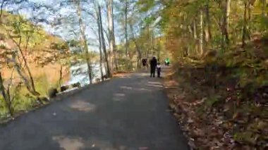 Dacula, GA / ABD 13 Kasım 2023: Hiperlapse çekimi, Gürcistan 'ın kuzeyindeki bir halk parkındaki sık bir orman boyunca asfalt bir eğlence patikası boyunca ilerliyor.